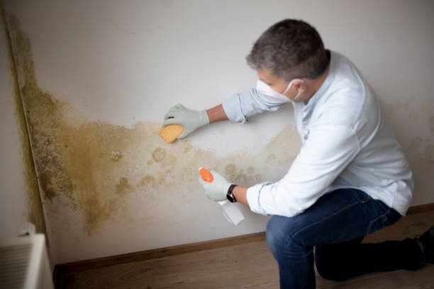 Best Airborne Mold Testing  in Erlanger, KY