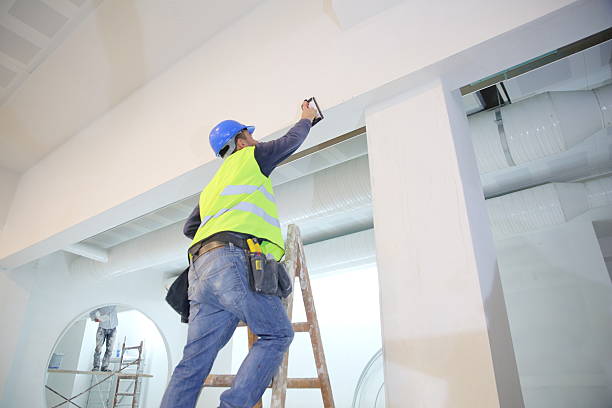 Best Commercial Mold Inspection  in Erlanger, KY
